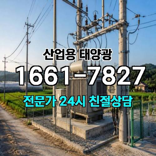 게시판 이미지 526