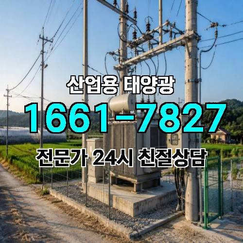 게시판 이미지 561