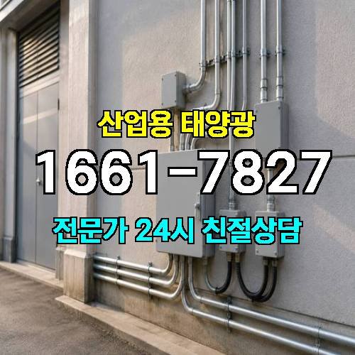 게시판 이미지 566