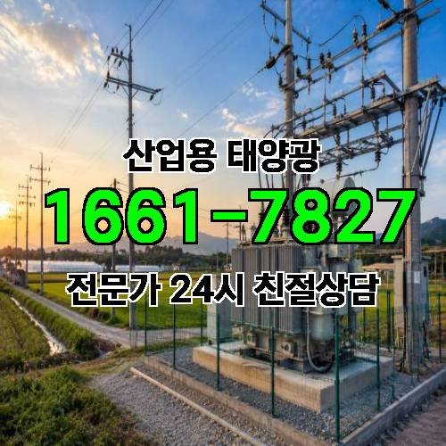 게시판 이미지 771