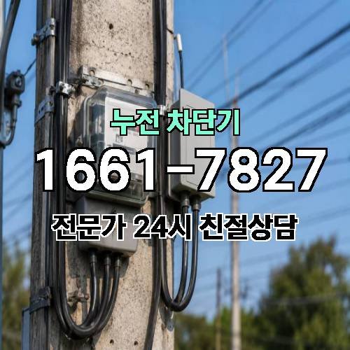 게시판 이미지 4703