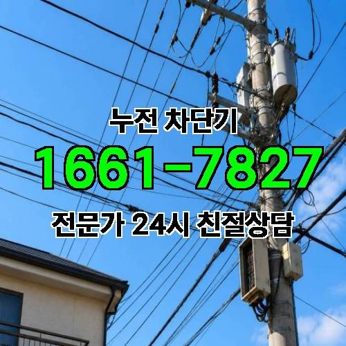 게시판 이미지 5246