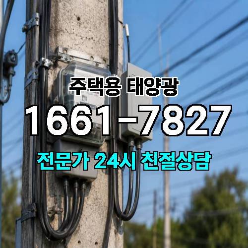 게시판 이미지 1956