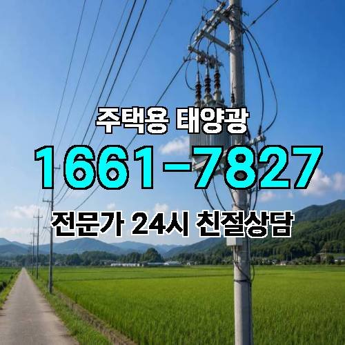 게시판 이미지 4901