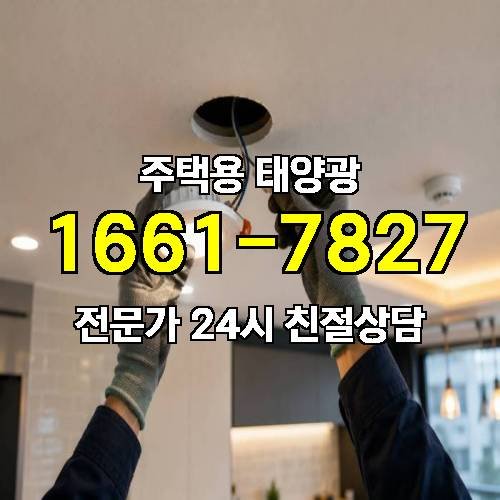 게시판 이미지 4905