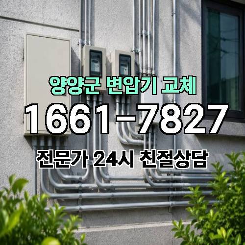 게시판 이미지 6261
